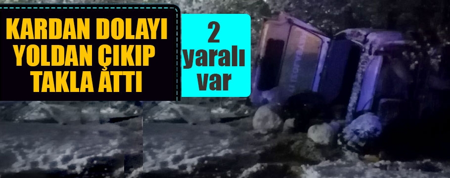 Şarampole yuvarlanan otomobildeki 2 kişi yaralandı