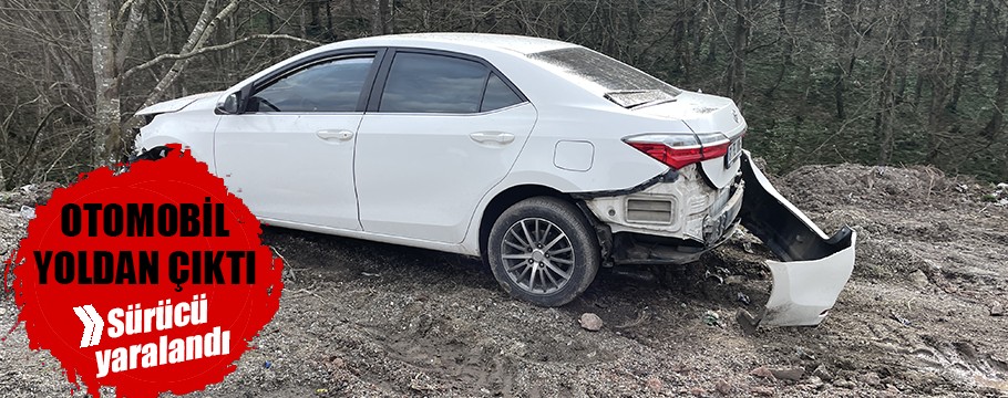 Yoldan çıkan otomobilin sürücüsü yaralandı