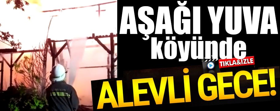 Alevler geceyi böyle aydınlattı