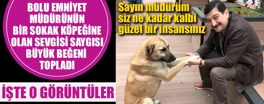 İşte müdürümüzün bir sokak köpeğine sevgisi