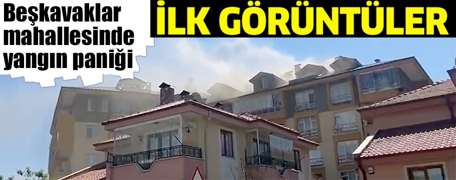 Beşkavaklar mahallesinde apartman yangını