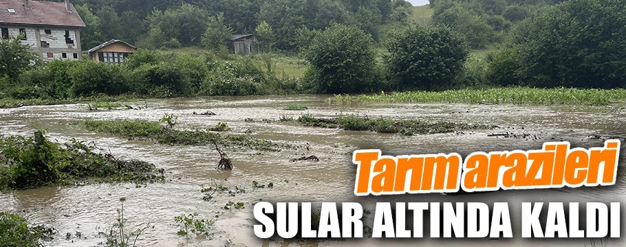 Bolu'da sağanak nedeniyle tarım arazileri sular altında kaldı