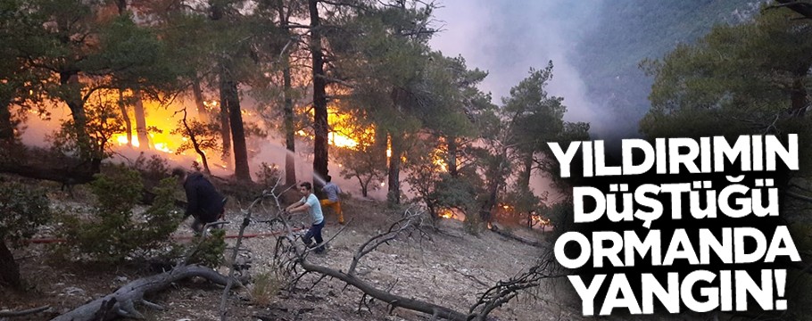  Yıldırım düşmesi sonucu orman yangını çıktı