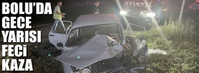 Bolu'da meydana gelen kazada 1 kişi yaralandı