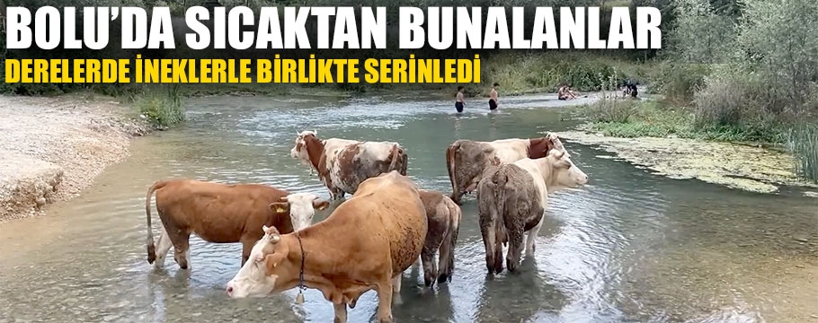 Bolu'da sıcaktan bunalanlar göletlerde derelerde serinledi