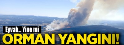 Bolu'da ormanlık alanda çıkan yangına müdahale ediliyor. 