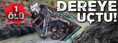 Bolu'da kamyon 100 metreden dereye uçtu: 1 ölü