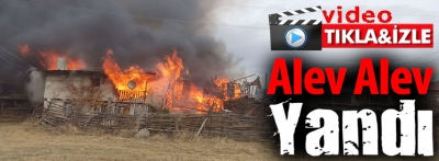 Bolu'da yaylada ahşap evler alev alev yandı