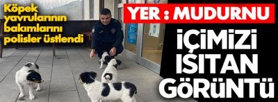 Polisler 4 köpek yavrusunun bakımını üstlendi