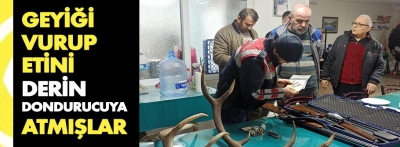 Bolu'da kaçak geyik avlayan 2 kişi yakalandı