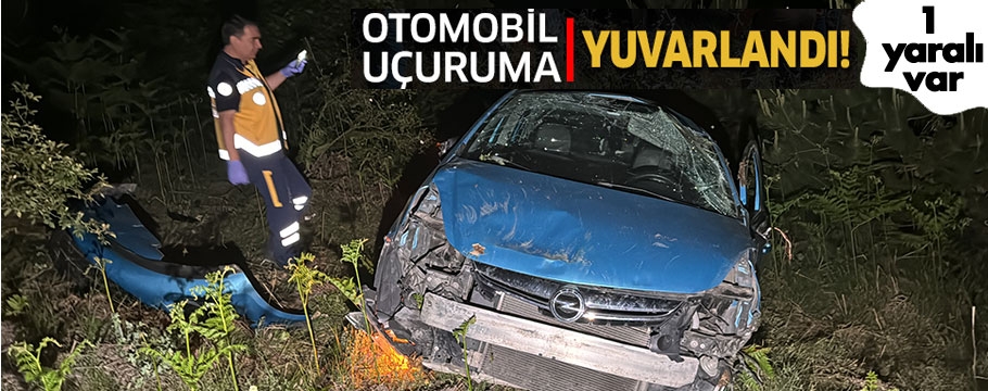 Bolu'da otomobil uçuruma yuvarlandı: 1 kişi yaralandı