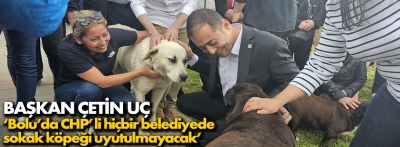 Çetin Uç Bolu'da CHP'li belediyelerde sokak köpeği uyutulmayacağını söyledi