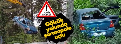 Kontrolden çıkan otomobil, ormana uçtu: 2 yaralı