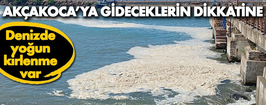 Akçakoca'da denizde yoğun bir kirlilik başladı