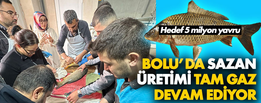 Bolu'da sazan sağımı başladı: Hedef 5 milyon yavru