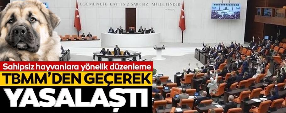 Başıboş sokak hayvanları düzenlemesi Meclis'te kabul edildi