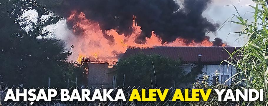 Bolu'da ahşap baraka alev alev yandı