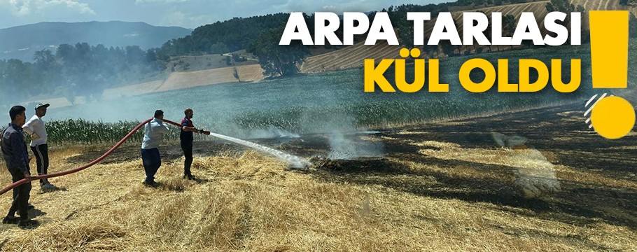 Arpa tarlası bir kıvılcımla küle döndü