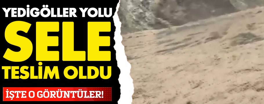 Yedigöller yolu sel nedeniyle ulaşıma kapandı