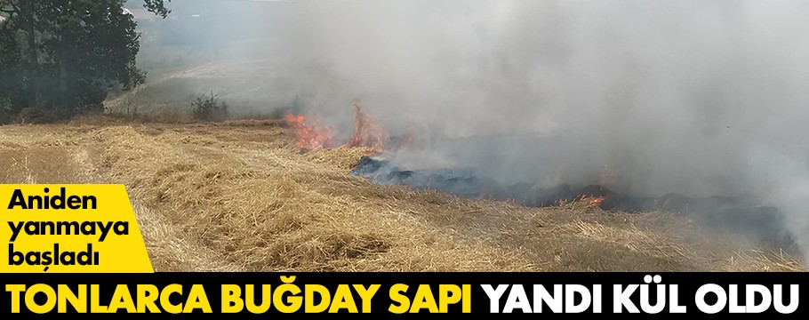 Balya yaparken yangın çıktı: Buğday sapları alev alev yandı