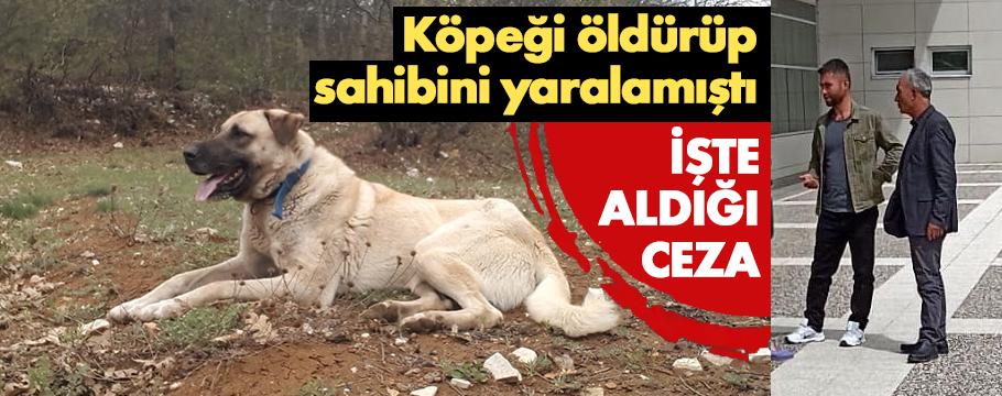 Köpeği öldürüp, sahibini yaralayan 6 yıl 6 ay hapis cezası aldı