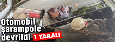 Bolu'da şarampole devrilen otomobilin sürücüsü yaralandı