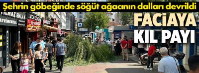 Şehrin göbeğinde söğüt ağacı devrildi: 1 yaralı