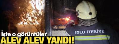 Bolu'da odunluk alev alev yandı