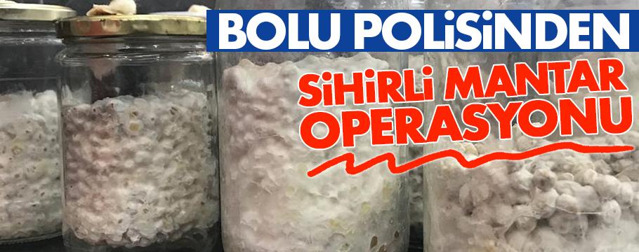 Bolu polisinden sihirli mantar operasyonu