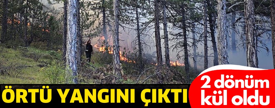 Bolu’da örtü yangınından çok sıcak görüntüler