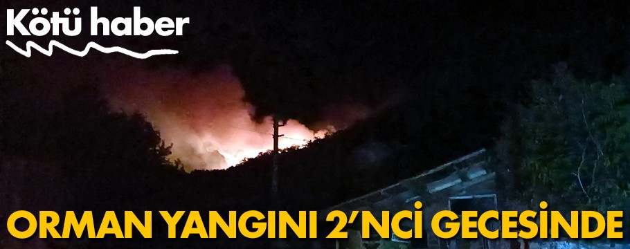 Bolu’daki orman yangını 2'nci gecesinde