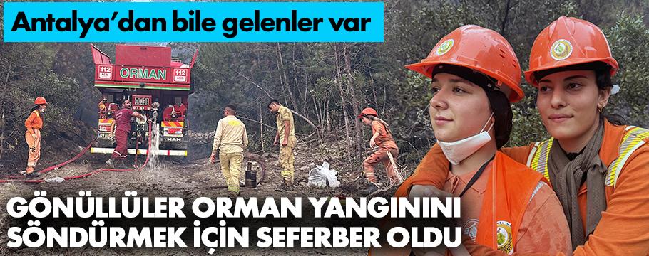 Gönüllüler yangınla mücadale için seferber oldular