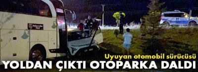 Direksiyon başında uyuyan sürücü otoparka daldı