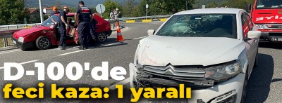 Bolu D-100'de iki otomobil kafa kafaya çarpıştı