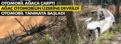 Otomobilin çarptığı ağaç üzerine devrildi, yangın çıktı