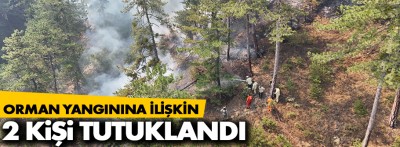 Orman yangınına ilişkin 2 kişi tutuklandı