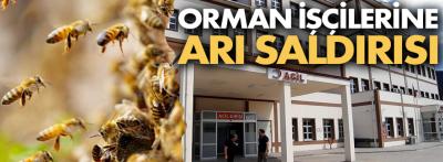 Ormanda görev yapan personele arılar saldırdı