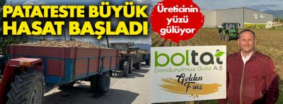 Bolu patatesinin büyük hasadı başladı