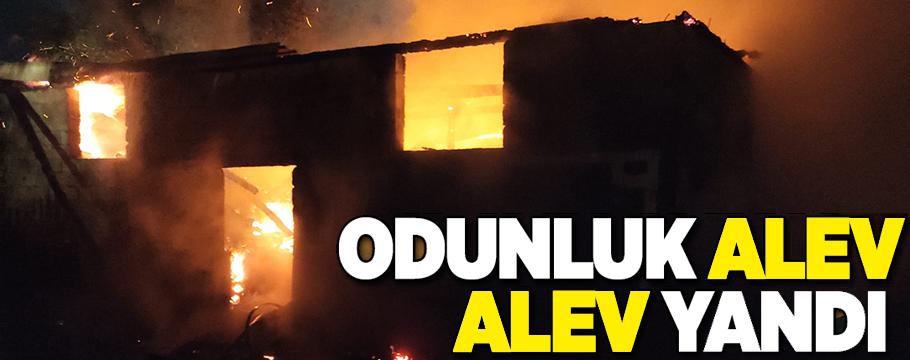 Odunluk alevlere teslim oldu