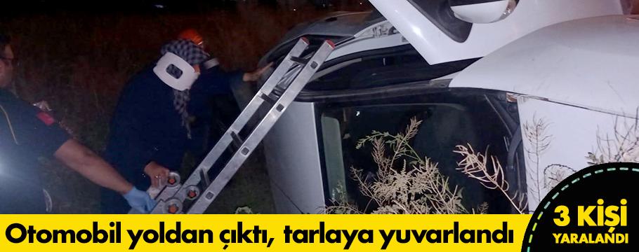 Yoldan çıkan otomobil devrildi: 3 yaralı