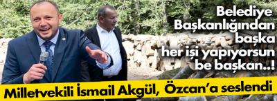 Milletvekili Akgül, Özcan'a 'konum atayım Bolu'ya gel' diye seslendi