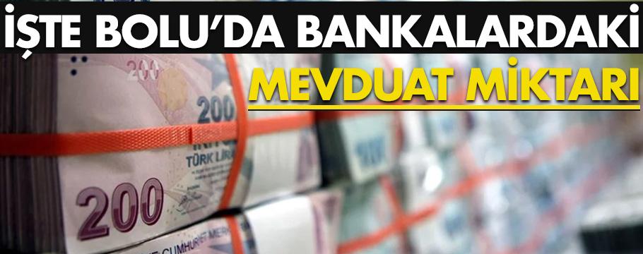 Bolu'da bankalarda bulunan mevduat rakamı belli oldu