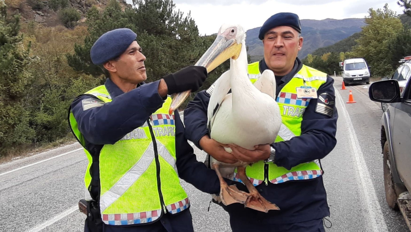 Devriye atan jandarma pelikan buldu