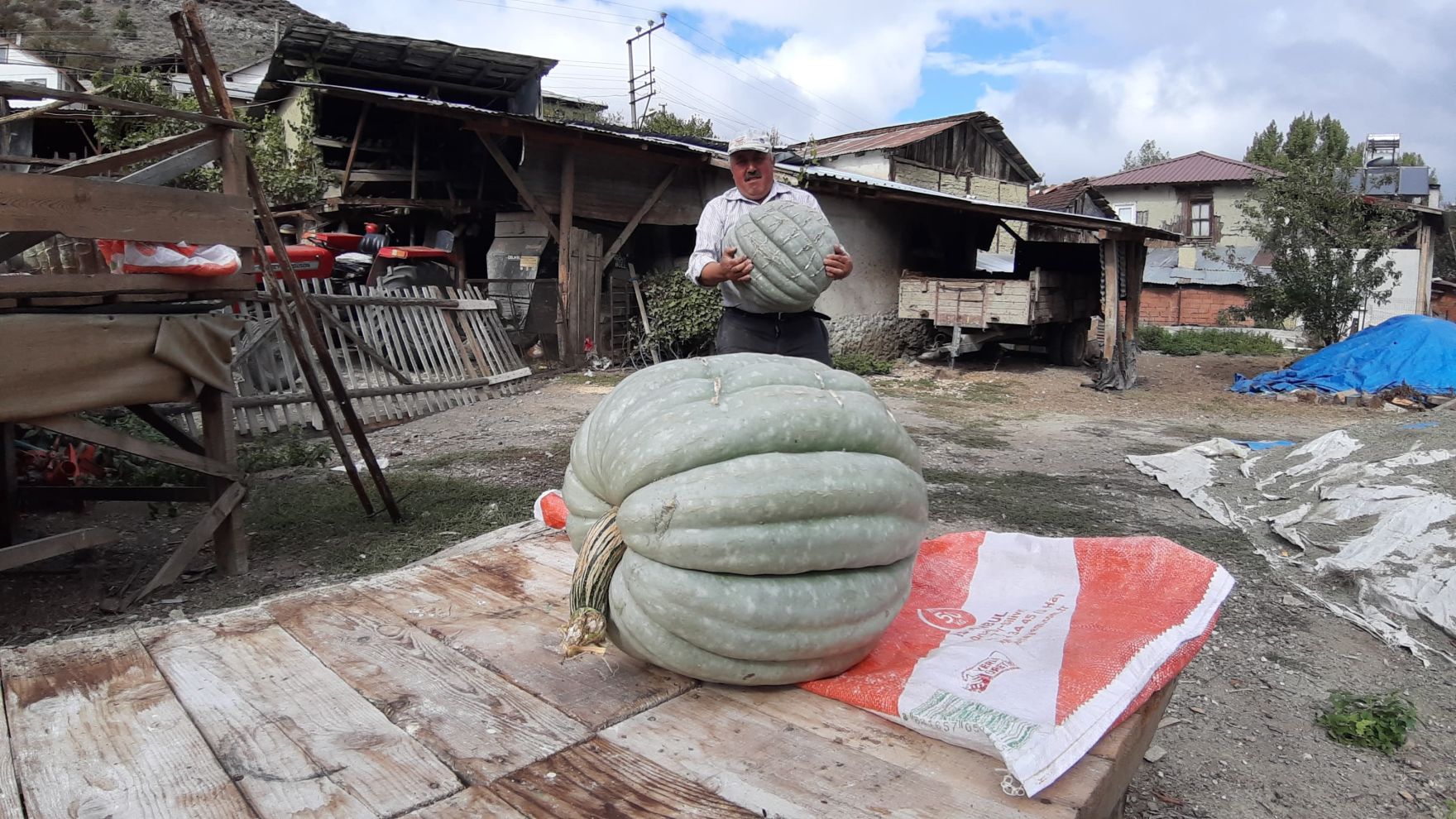 Yetiştirdiği bal kabağı 40 kilo geldi