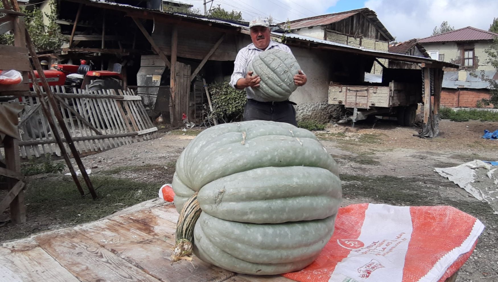 Yetiştirdiği bal kabağı 40 kilo geldi