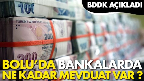 Bolu'da bankalarda bulunan mevduat rakamı belli oldu