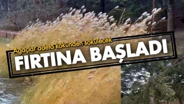 Bolu'da kuvvetli fırtına etkili oluyor