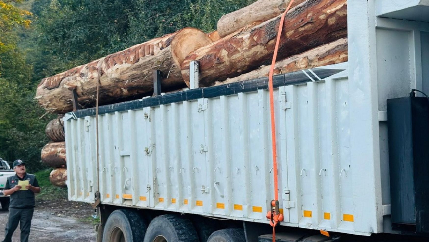 Bolu'da tomruk hırsızlarına darbe: 4 kişi tutuklandı