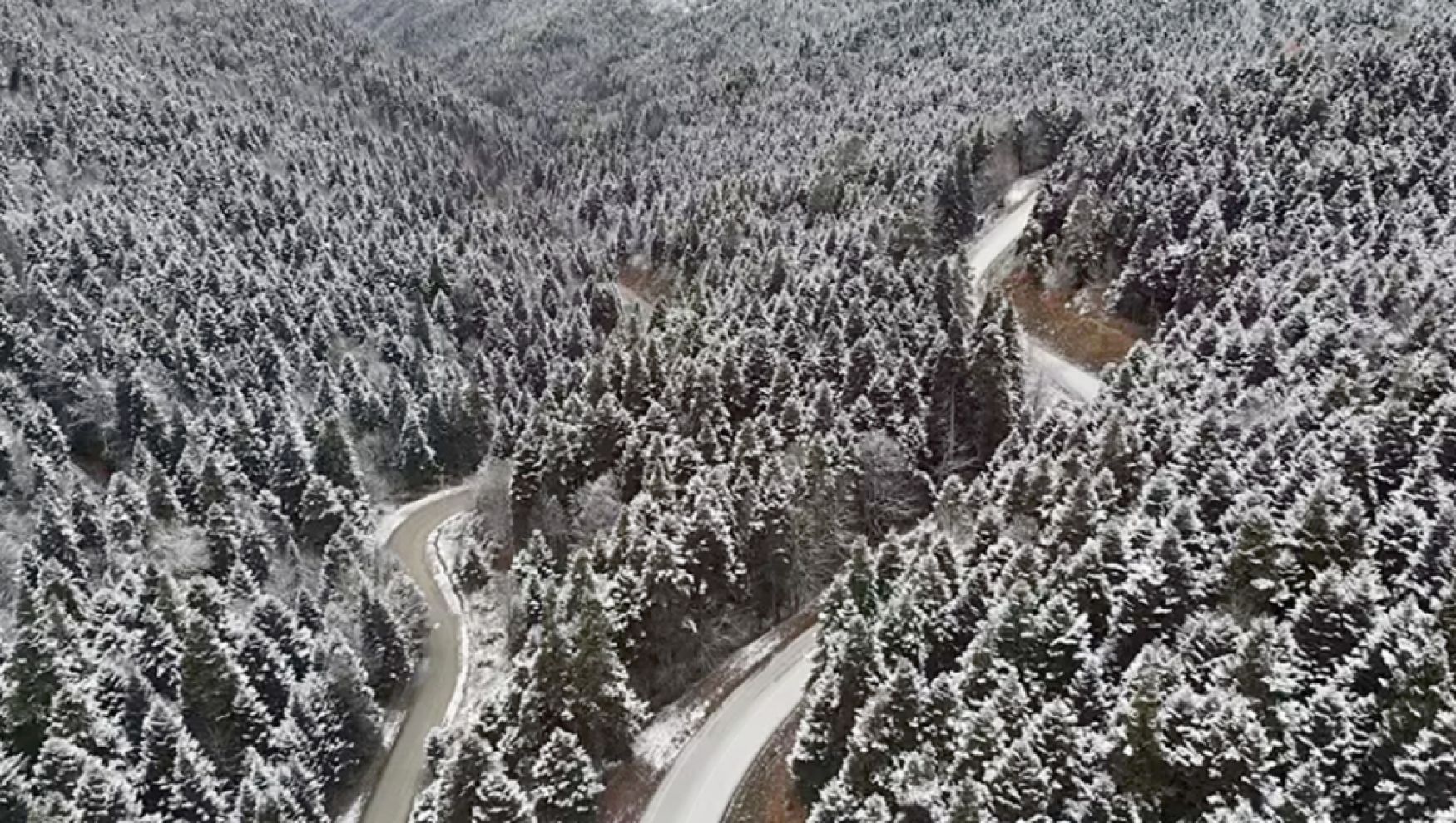 Yedigöller yolu kar ve buzlanma riskine karşın kapandı