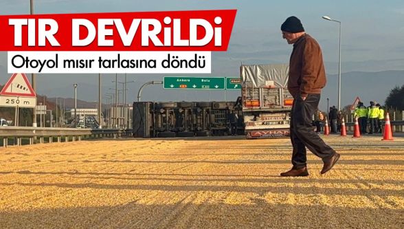 Otoyolda tır devrildi: Yol mısır tarlasına döndü